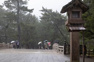 出雲大社　雨　221203